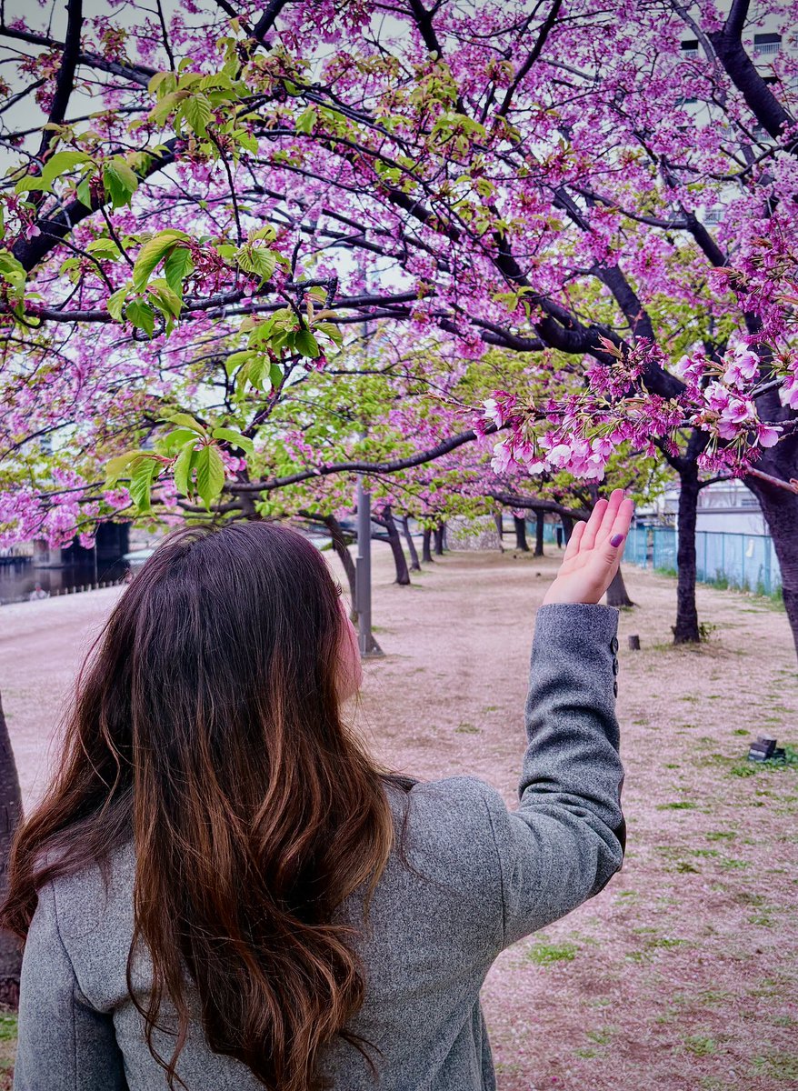 Doctora Tesis 📚 tweet media
