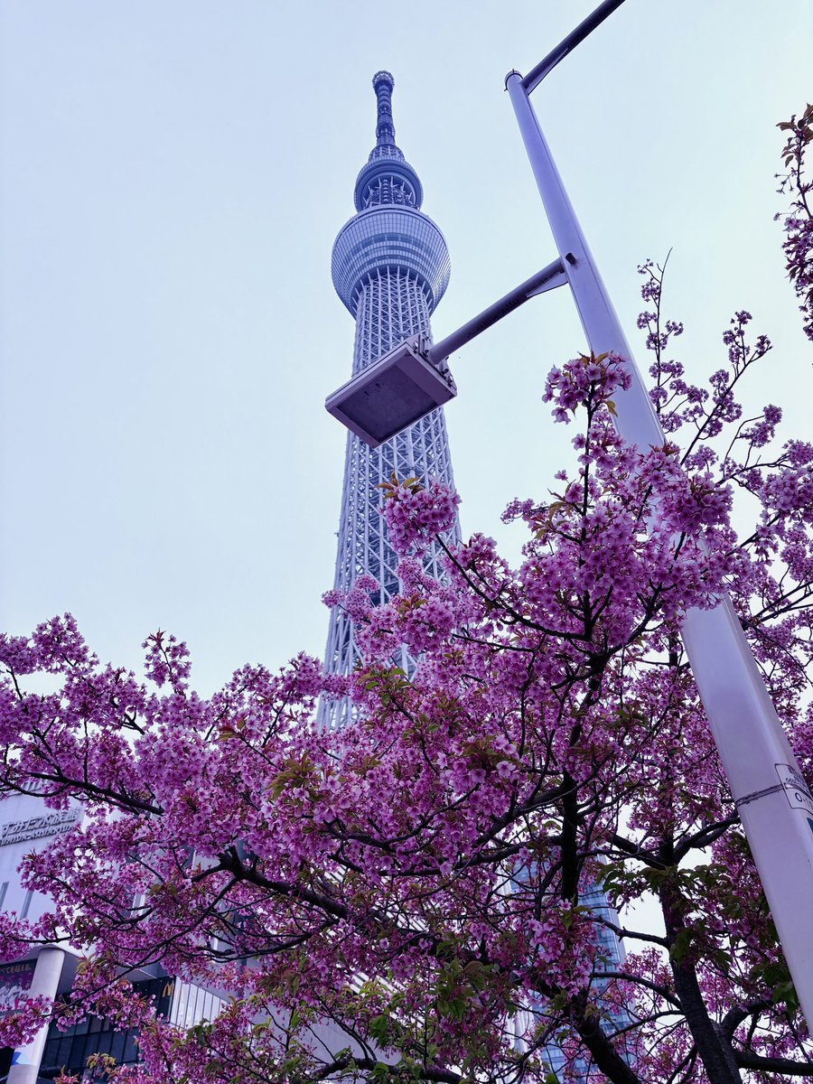 Doctora Tesis 📚 tweet media