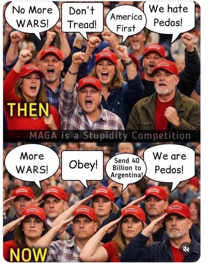 Victimhood Scale Index(VSI)Rater tweet media