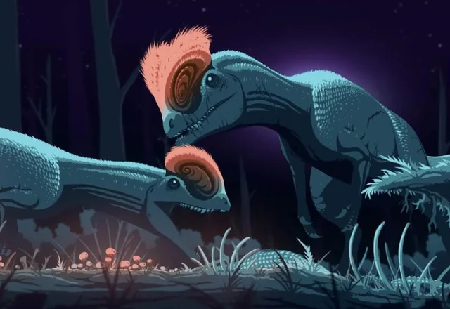 Capitandino tweet media