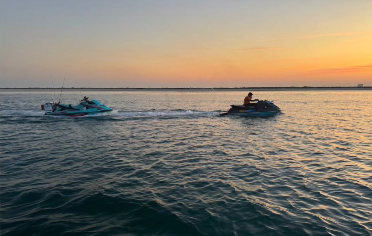 عين الإخبارية tweet media