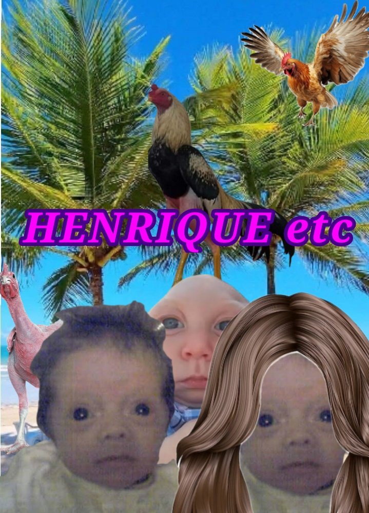 henrique manso pacífico de oliveira sossegado tweet media