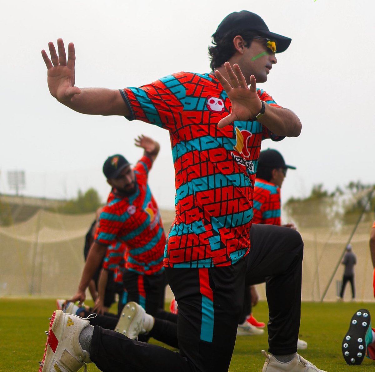 بھائی پر ٹاؤں ٹاؤں کرنے والوں کے لیئے بھائی کی خصوصی تصویر