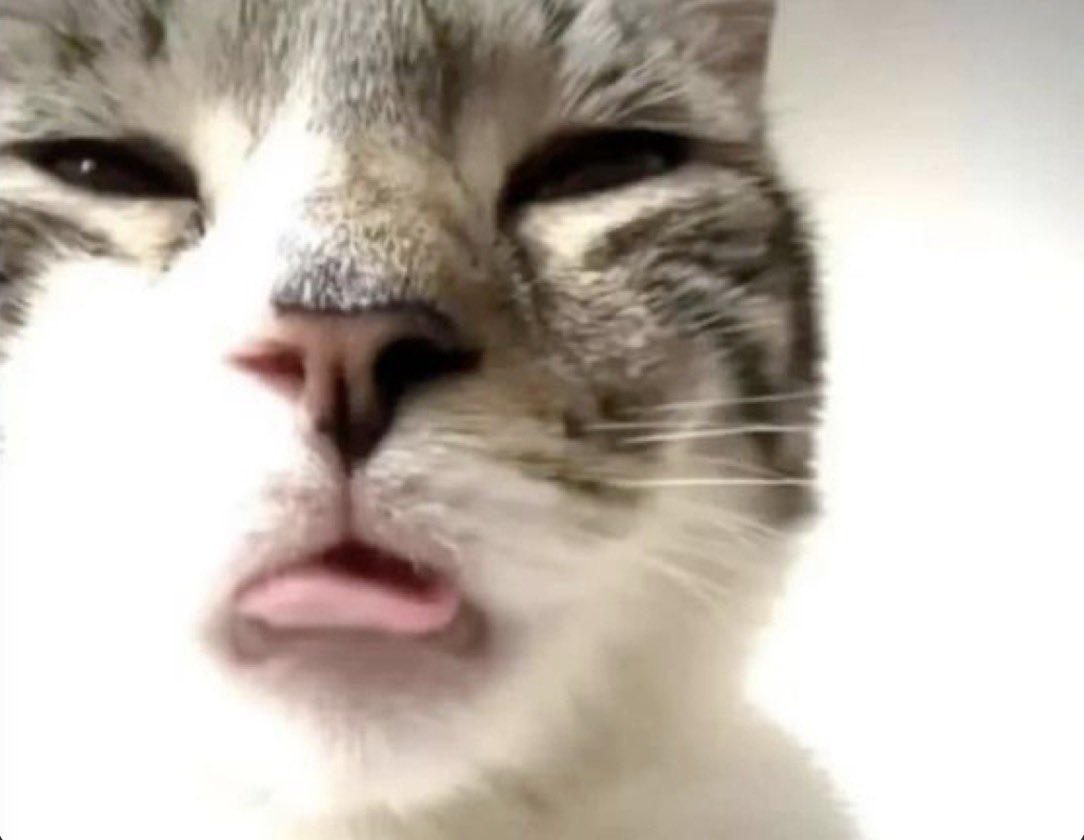 kill seren🕳️ tweet media