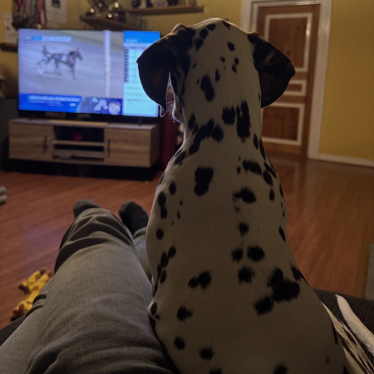 Peter iOS 26.2 tweet media