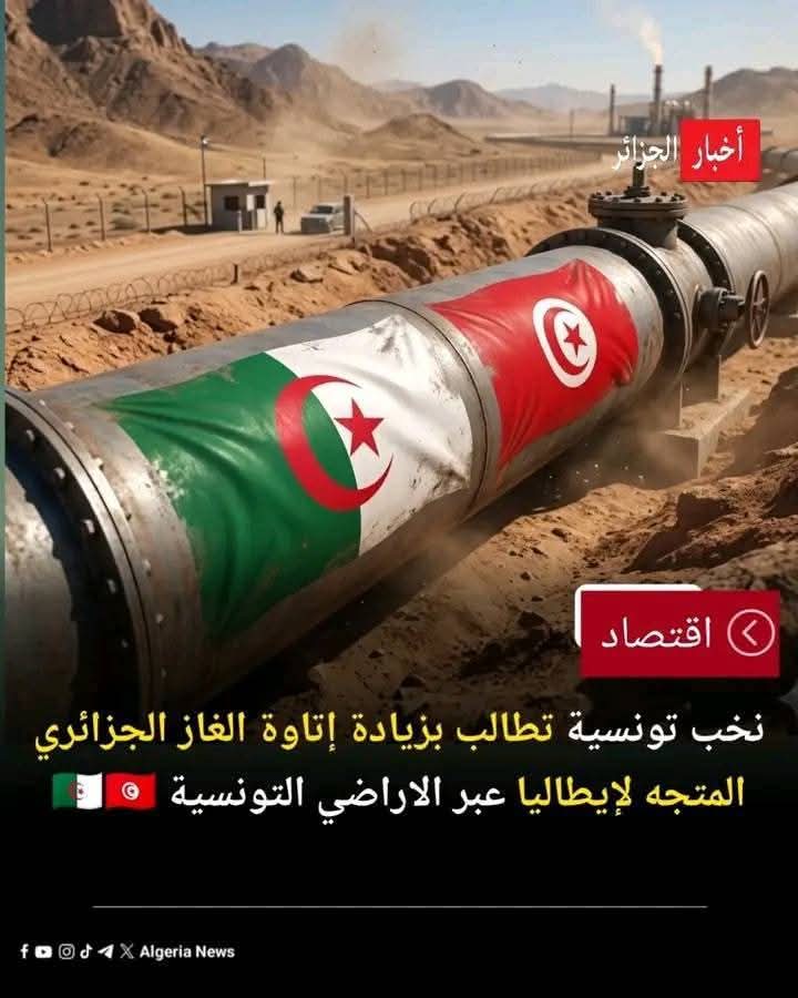 🇩🇿 𝓩𝓪𝓴𝓲 tweet media