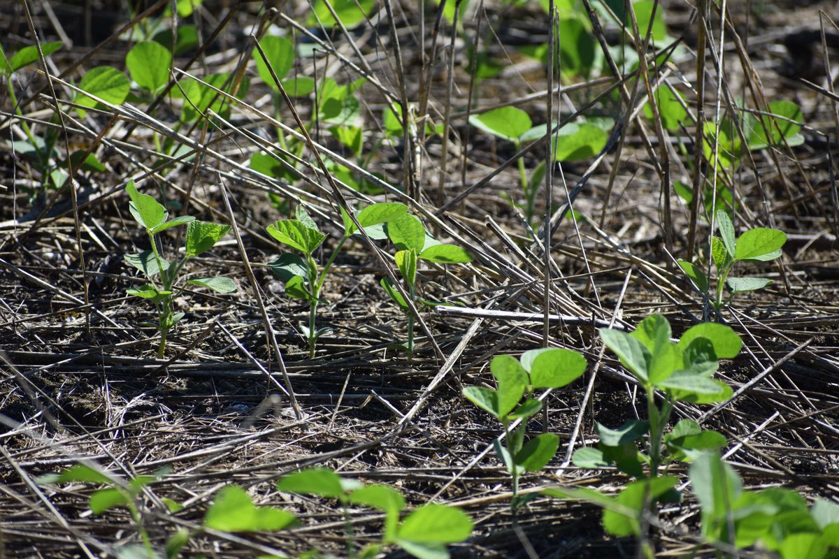 Science for Success tweet media