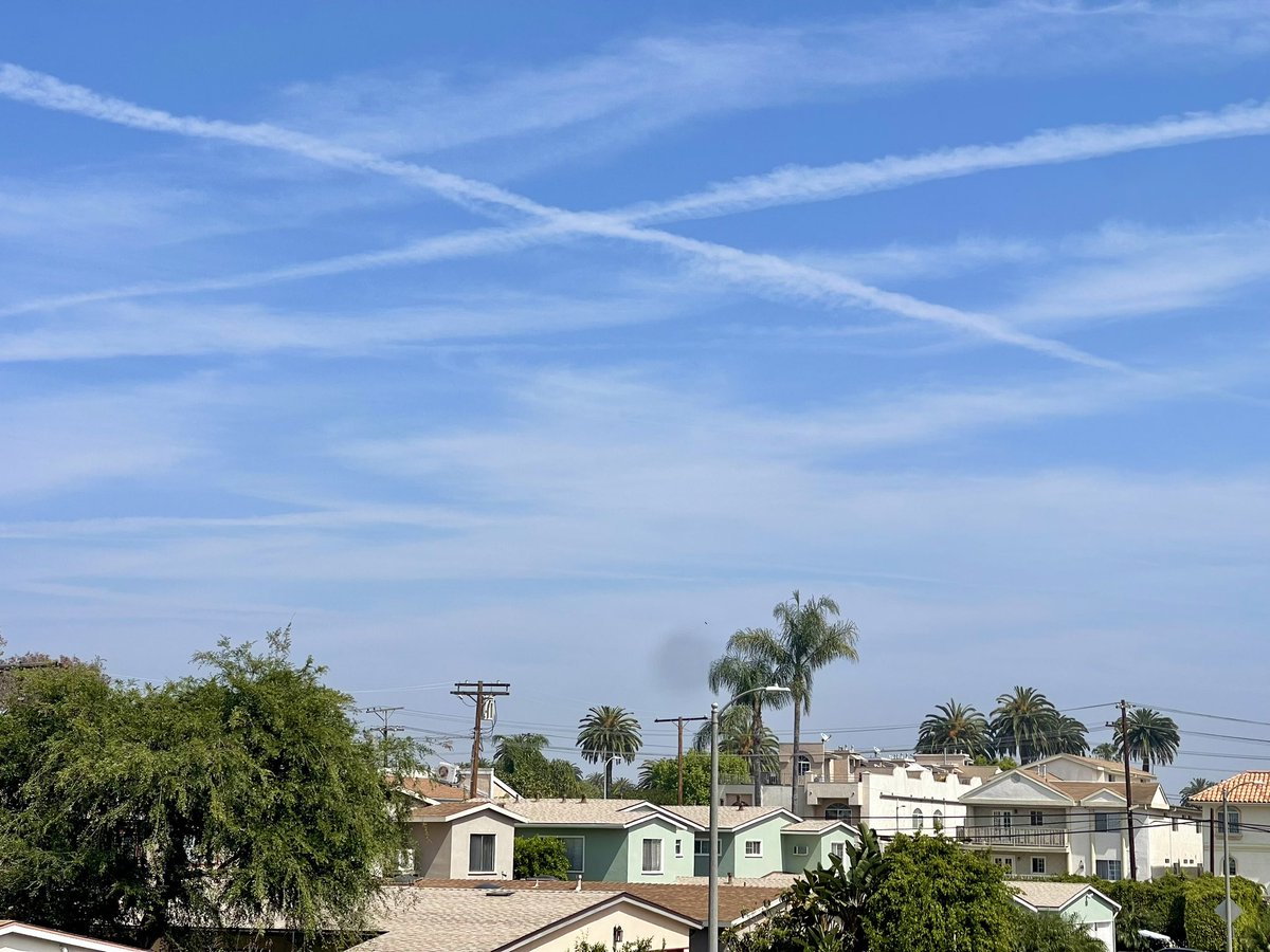 Larry Cook tweet media