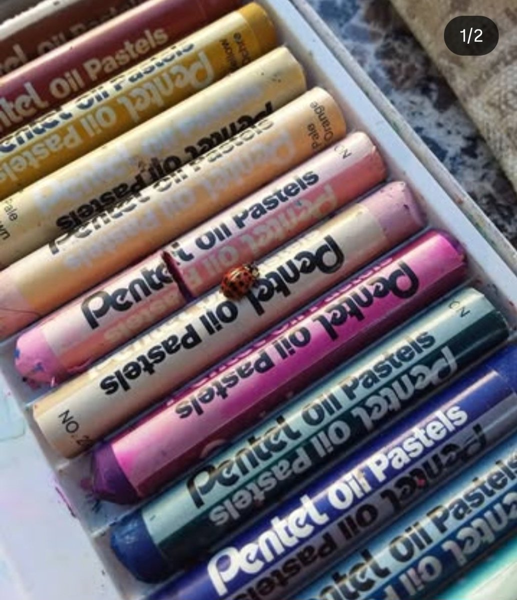 clair de lua 🐞 tweet media