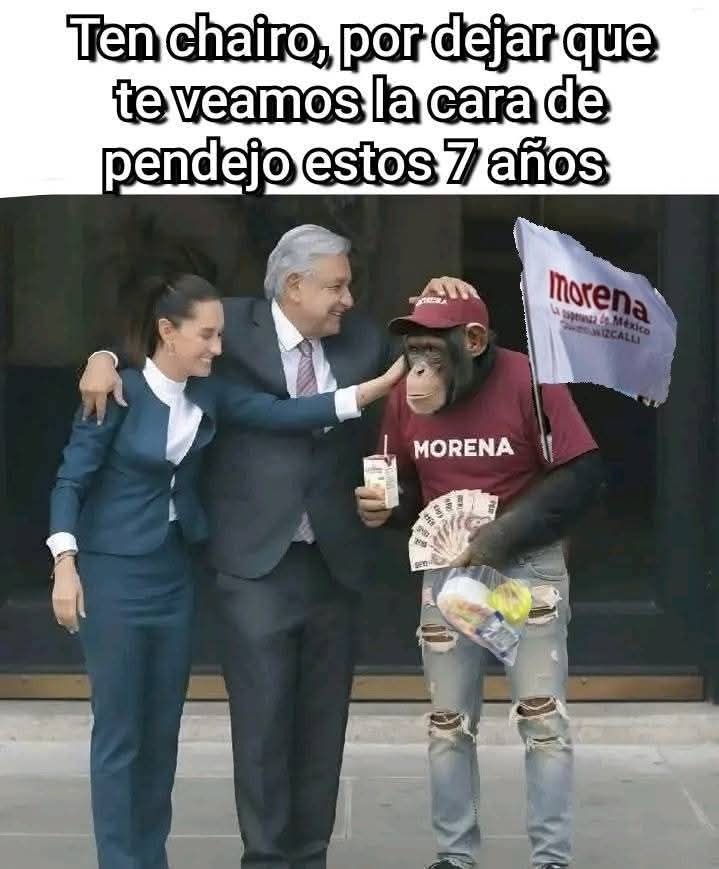 ImNeuro😁👍 tweet media