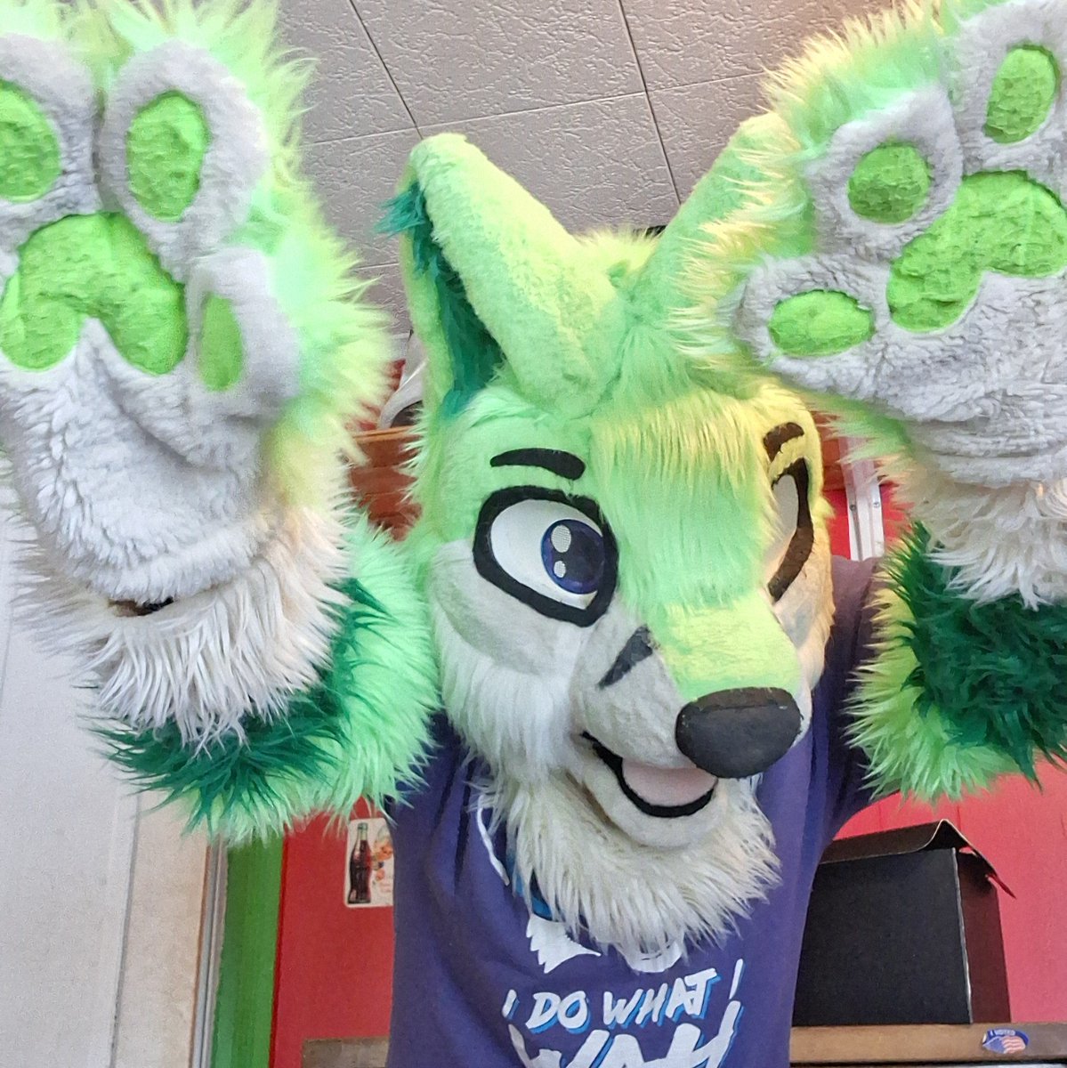 Browmni The Fox. | 🏳️‍⚧️ Ally | tweet media