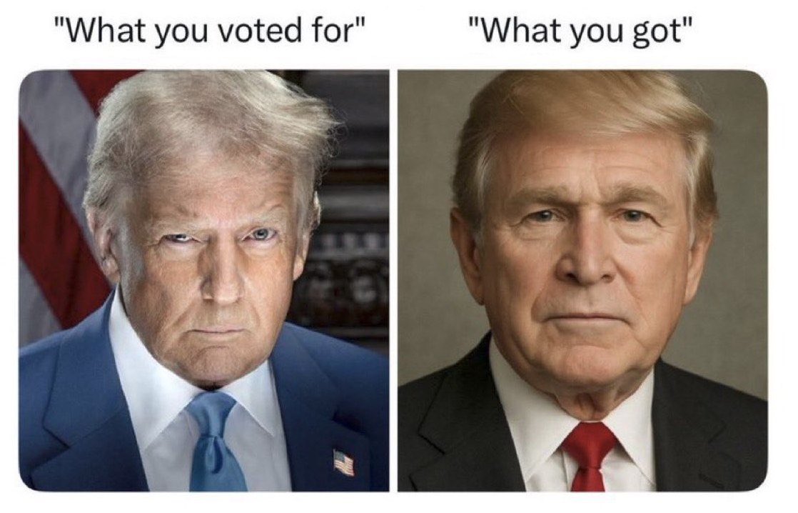 Commentary Rapid Response AF tweet media