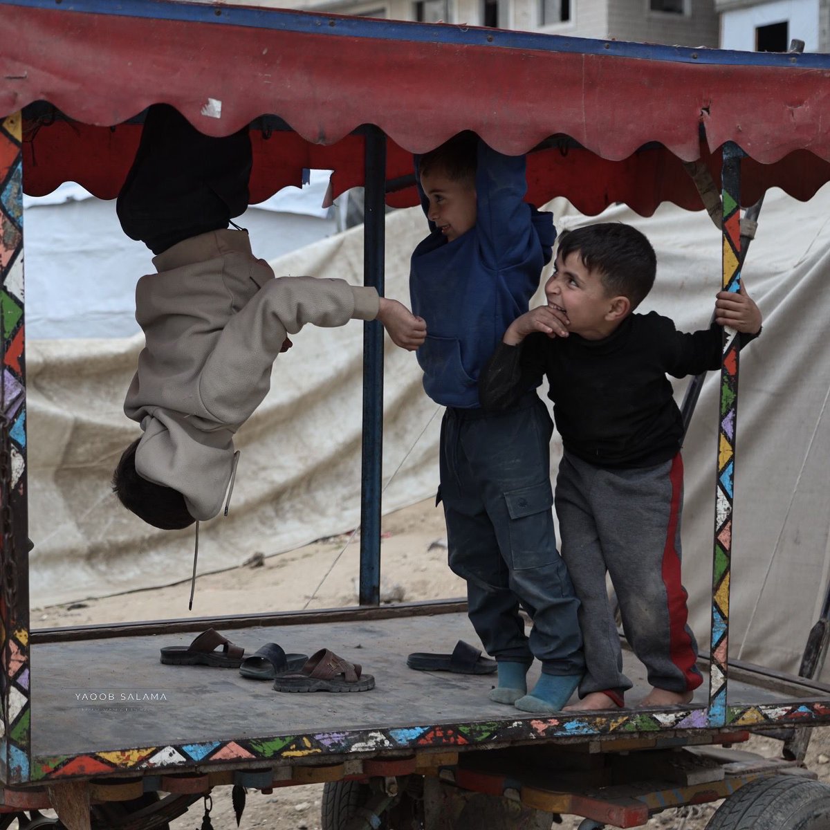 Mahmoud Qaddoha tweet media