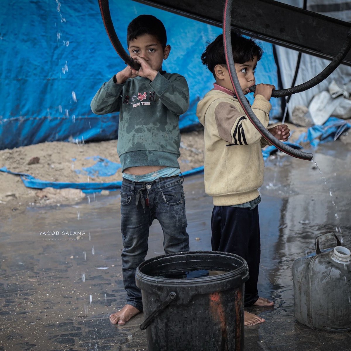 Mahmoud Qaddoha tweet media