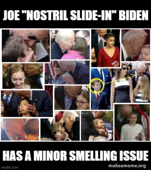 ProgressivePig tweet media