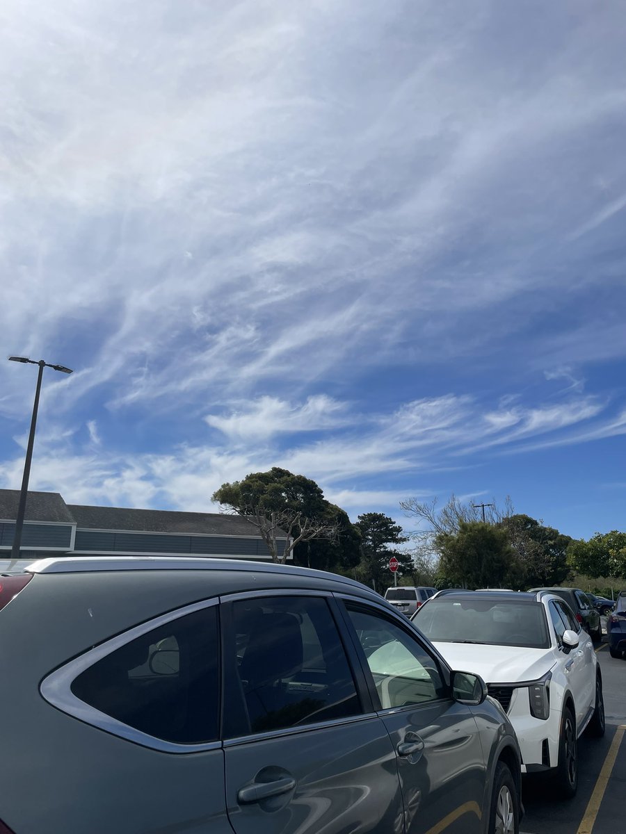 Manactus tweet media