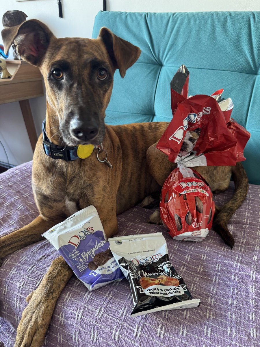 deborah pataxó 🐋 tweet media