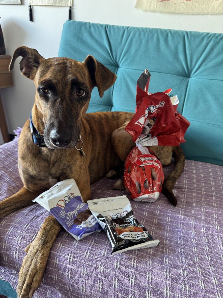 deborah pataxó 🐋 tweet media