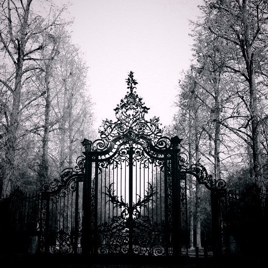 Huang Shuo tweet media