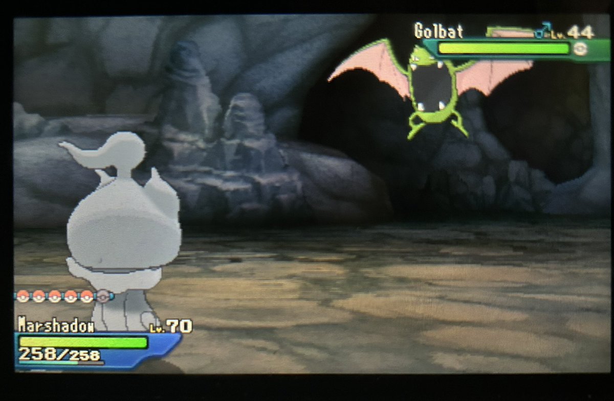 Vulpixillusive🍂 tweet media