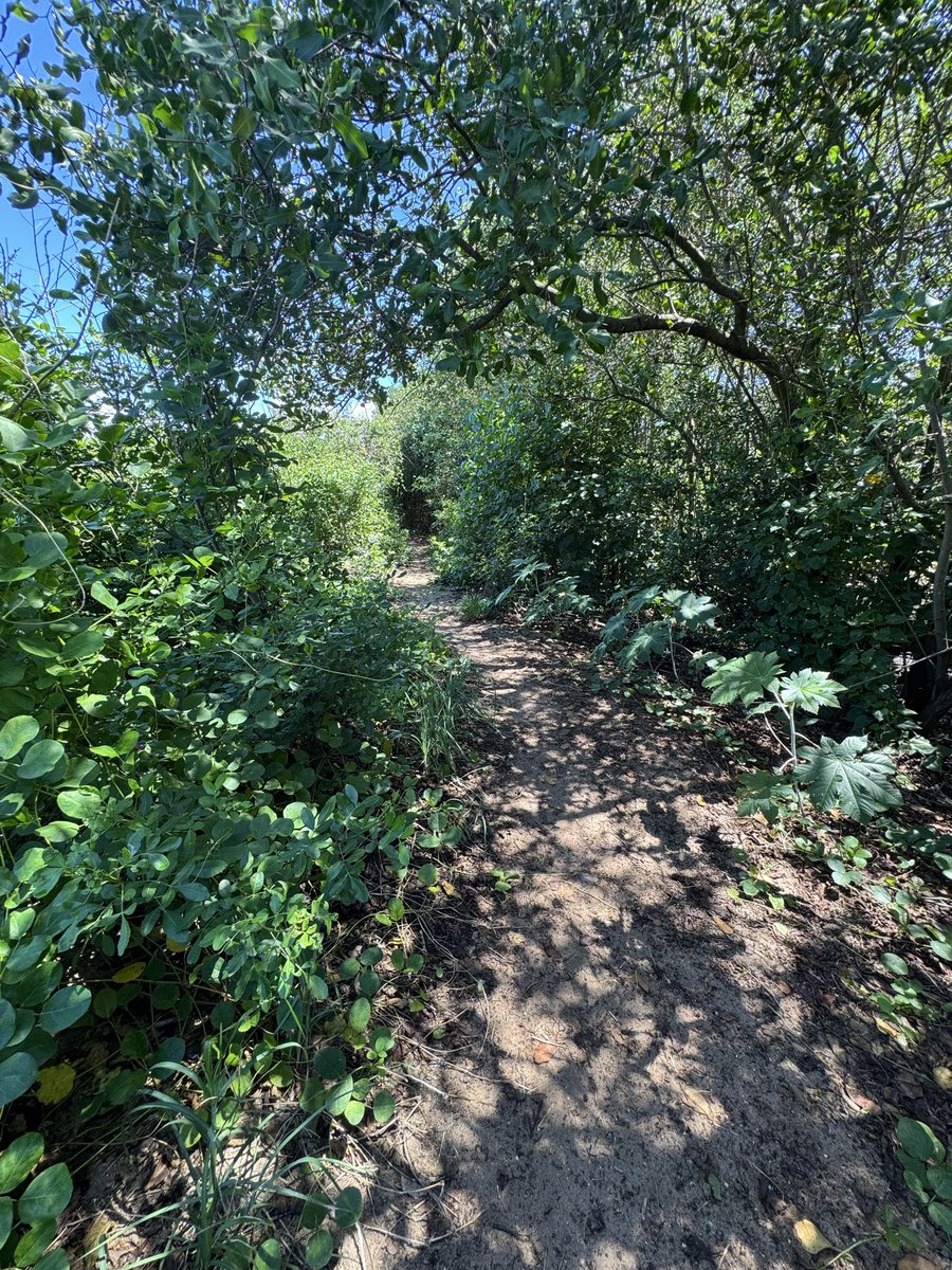 Max Discreto tweet media