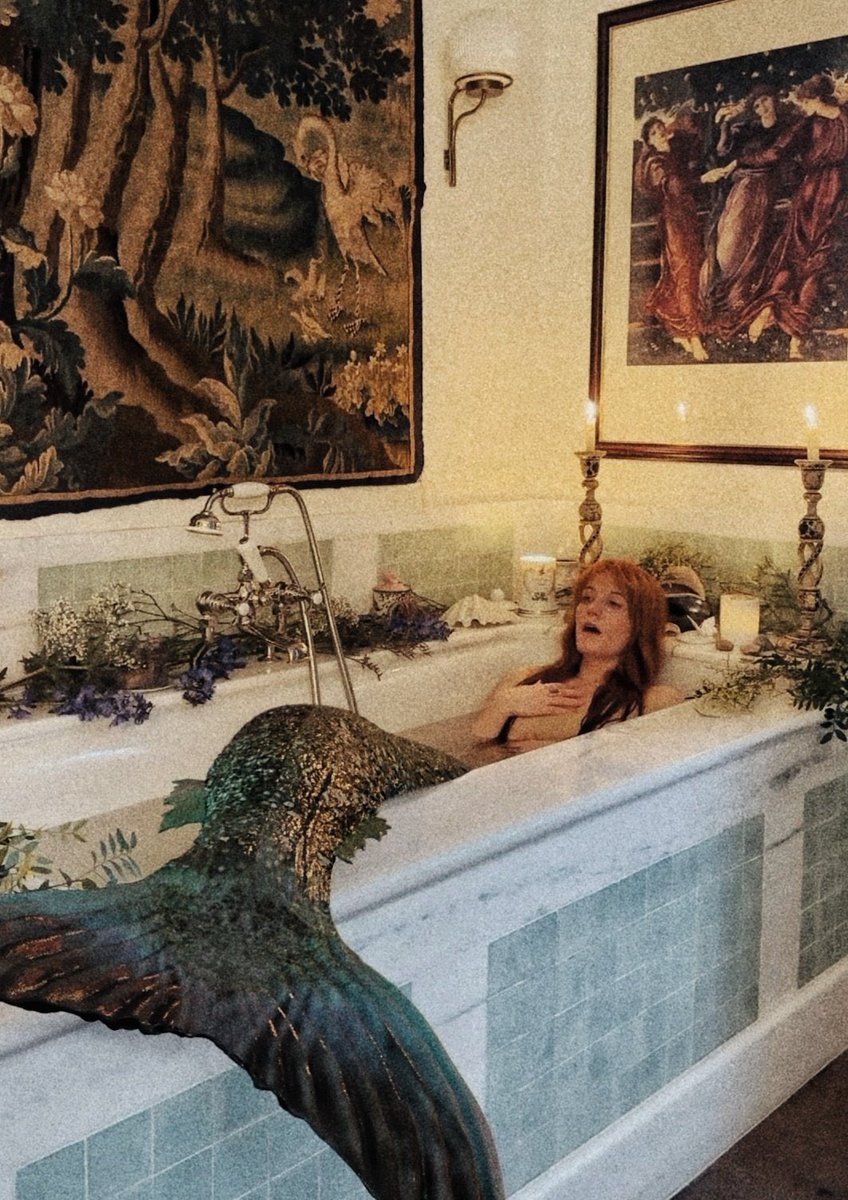 vendy🌹 tweet media