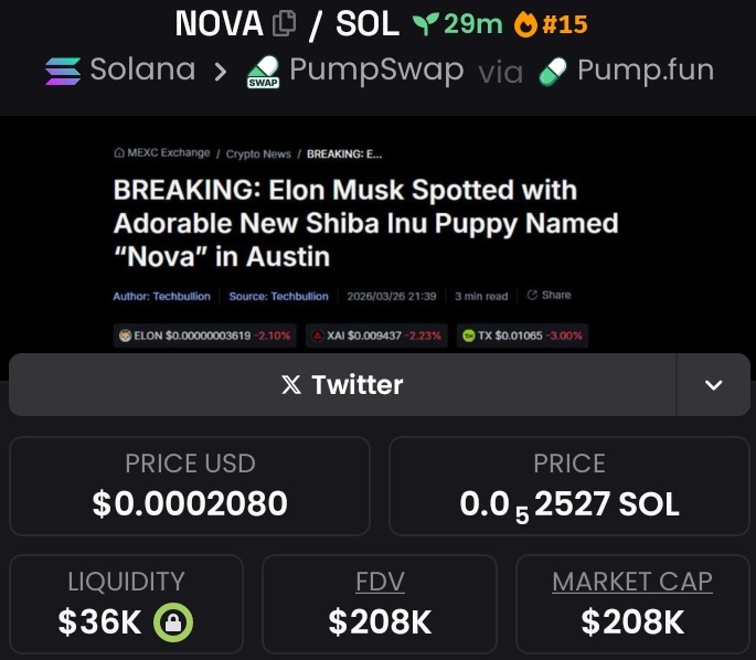 CAPTAIN 🚨🏴 tweet media