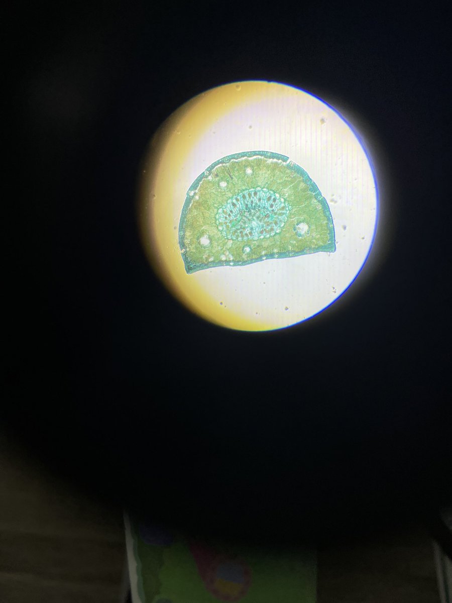 ізоботтом урану tweet media