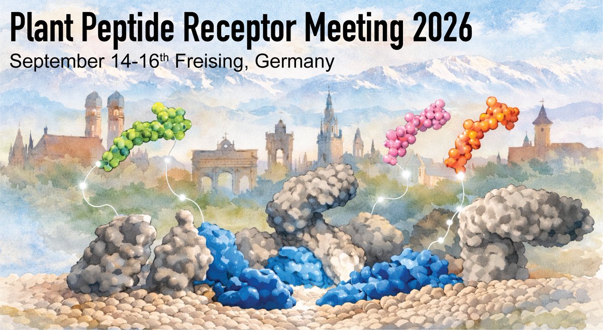 Julien Gronnier tweet media