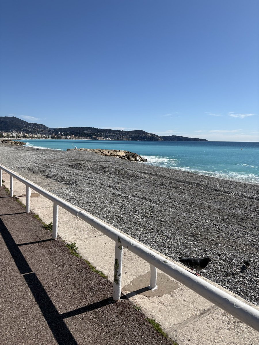 Julie Nicholson tweet media