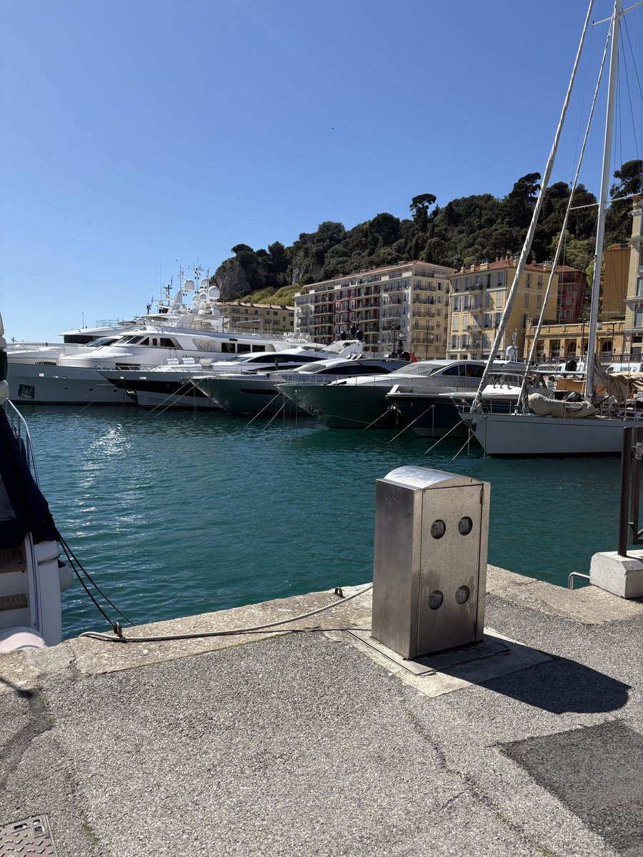 Julie Nicholson tweet media