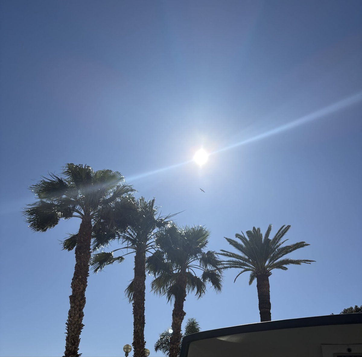 Julie Nicholson tweet media