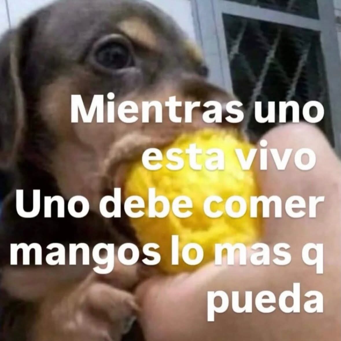 Nasty Poet (@nxstypxet) on Twitter photo 