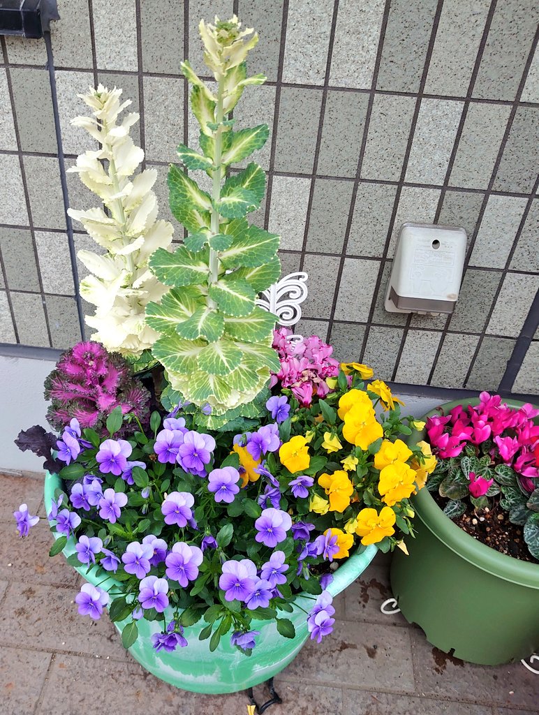 Temple  Of  The  K tweet media