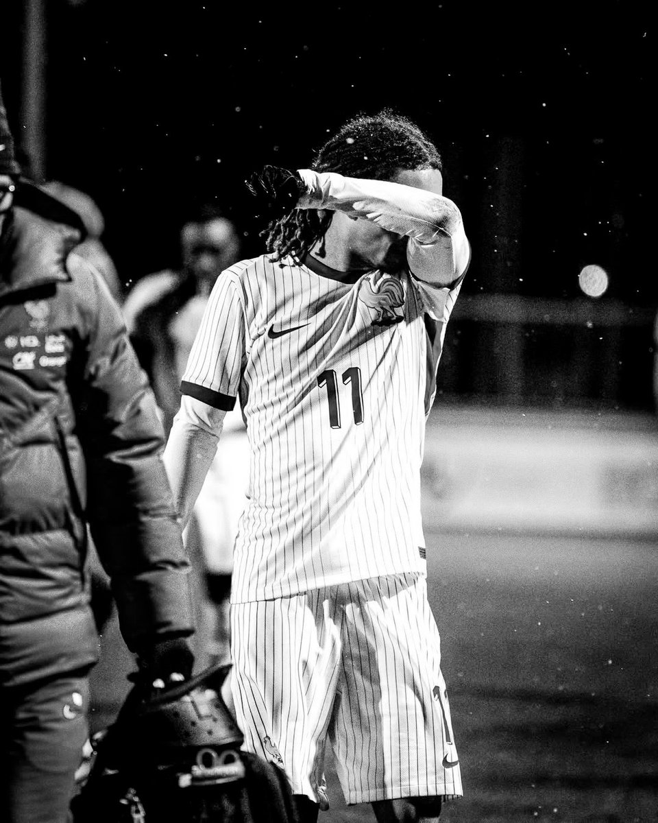 أخبار الهلال tweet media