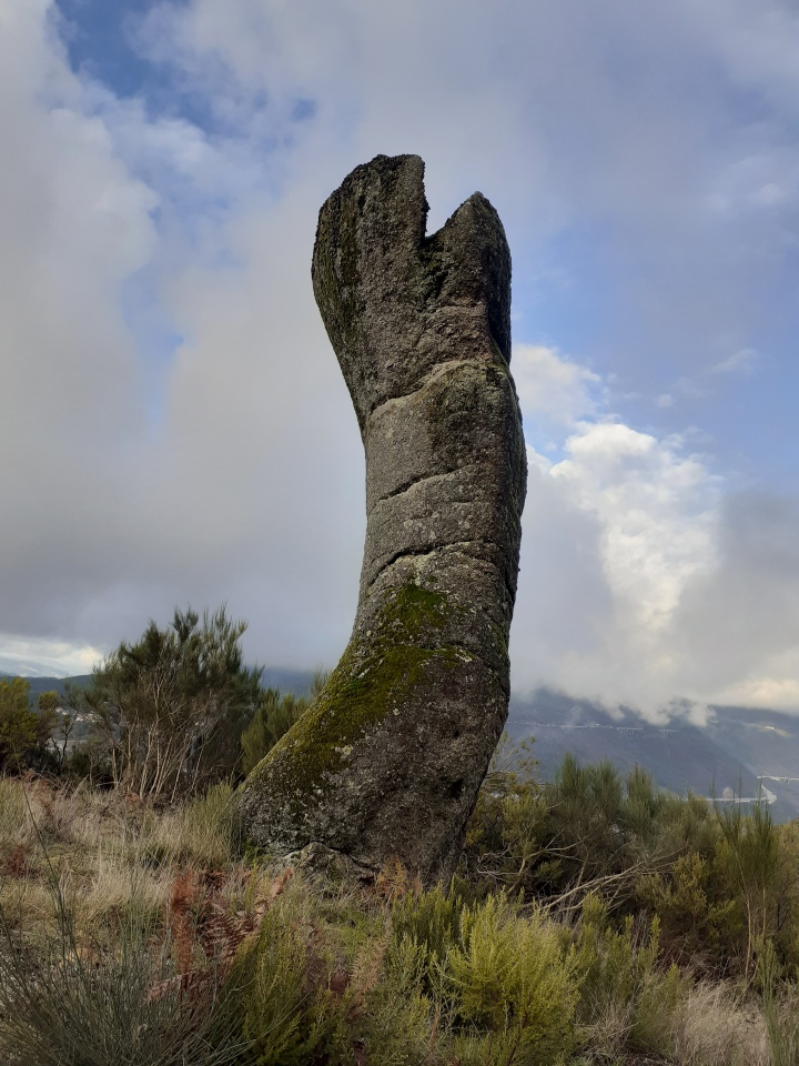 Menir de Candemil: Martim89 writes: This standing stone is over 4 m tall and very curved. From my subjective point of view, it is the only tall menhir in Portugal that has never fallen down. The erosion fractions are so deep that it would break if it fell down.