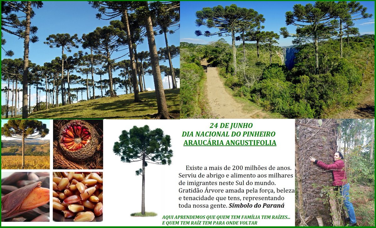 Eliana Maria tweet media