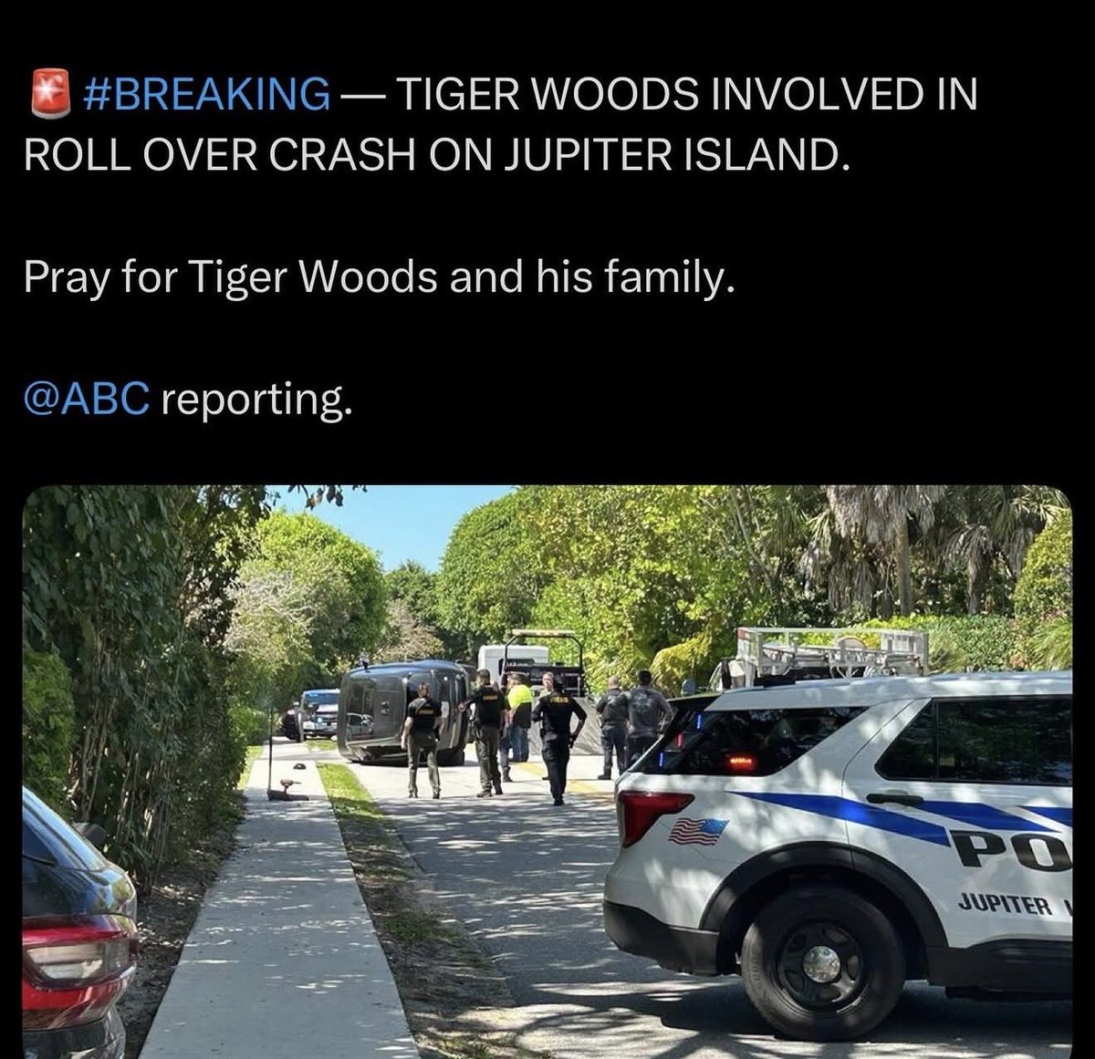 Caddie Network tweet media