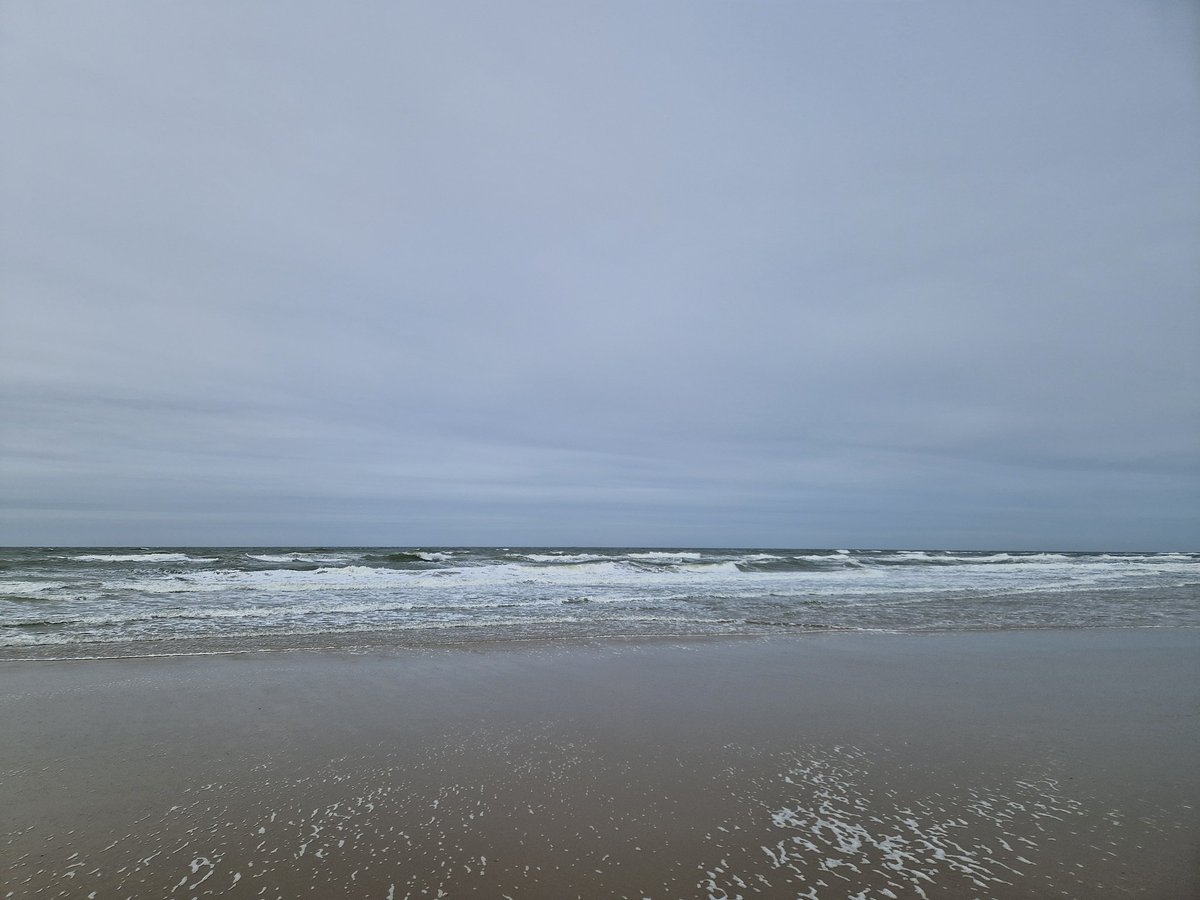 Lydia Smits 🍀 tweet media