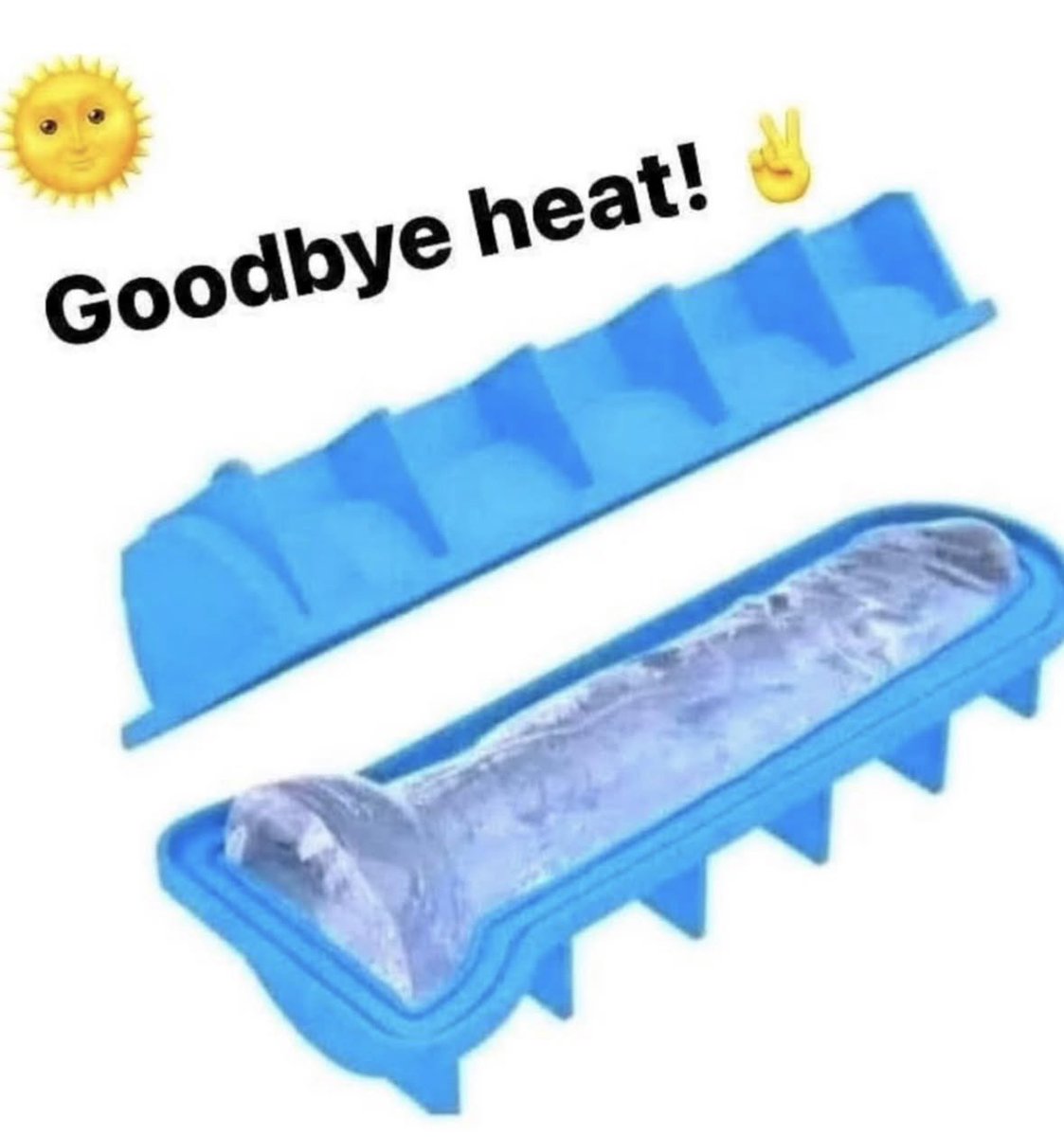 Edmonton Dude (Sambuca Sam) tweet media