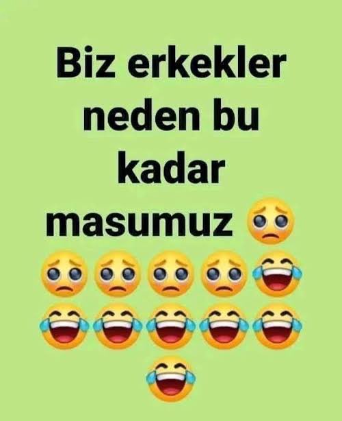 nezihfenerli lyt tweet media