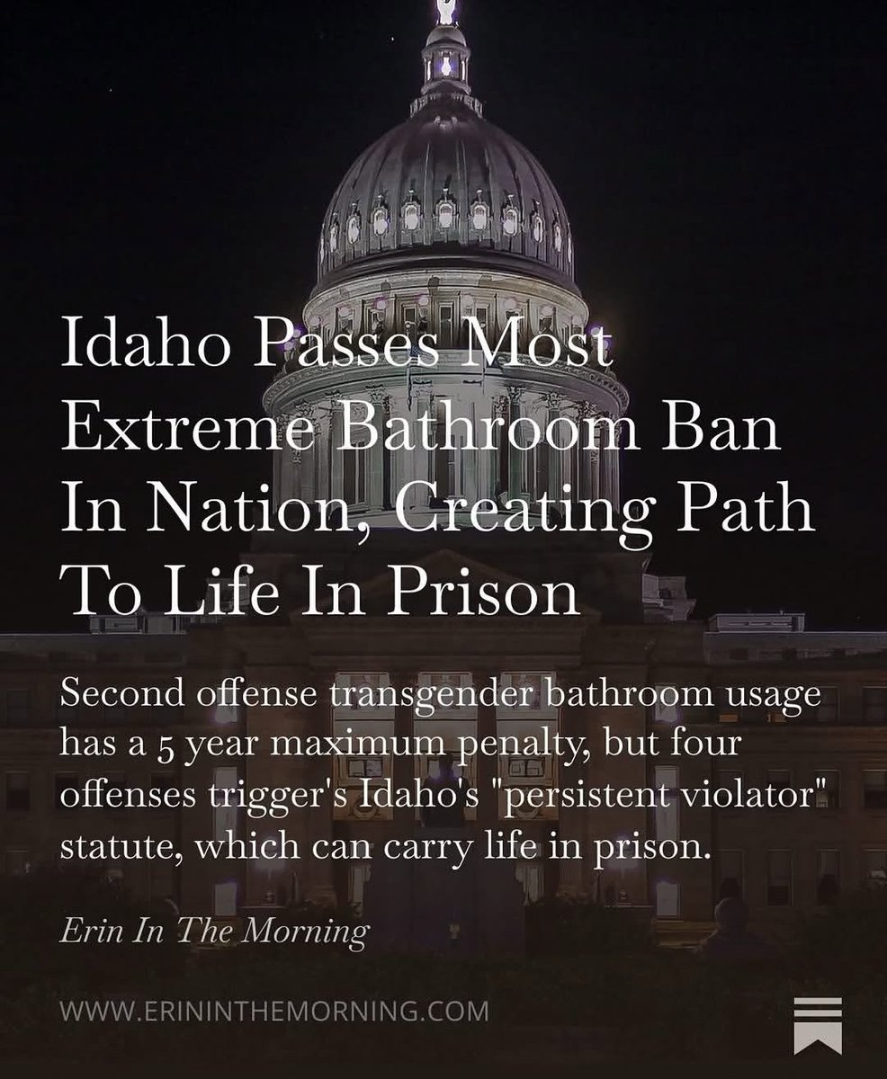 Nora Synth VA🎙️ tweet media