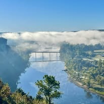 Frenchie Mom tweet media