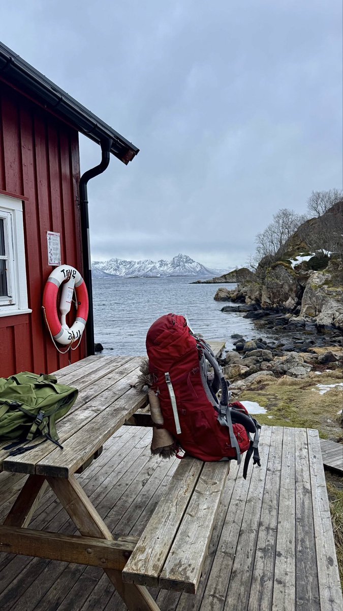 Auðrhild Eldr 🌲 tweet media