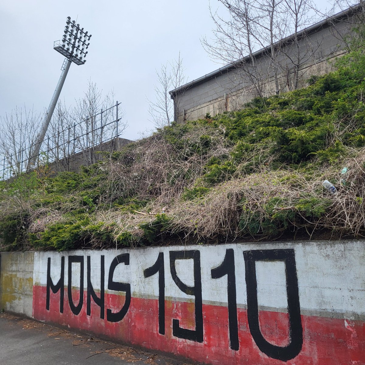 Negninorg tweet media