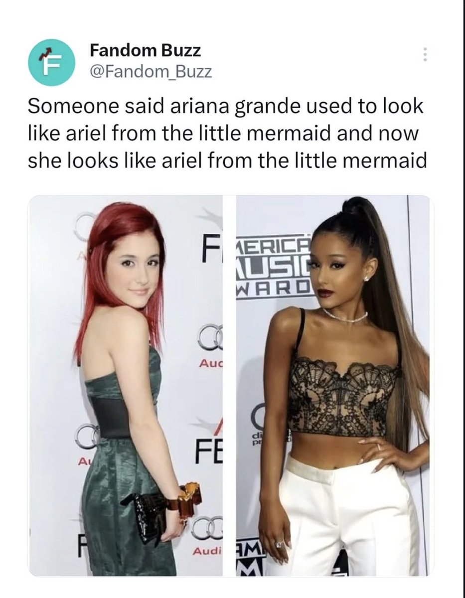 Arielle Scarcella tweet media