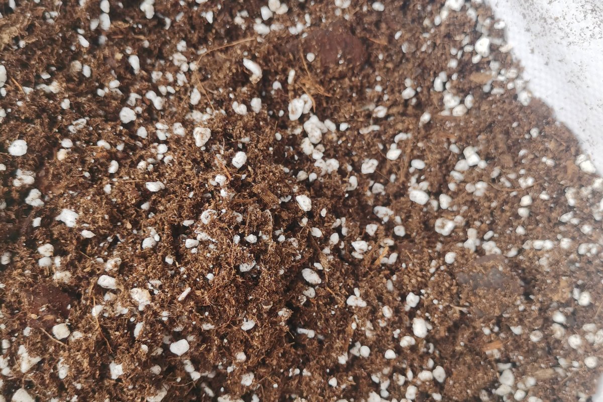 SAN  DICKESON tweet media