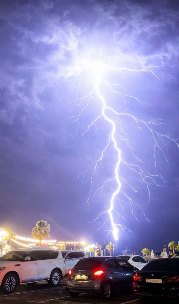 بشار المقبل🎻 tweet media