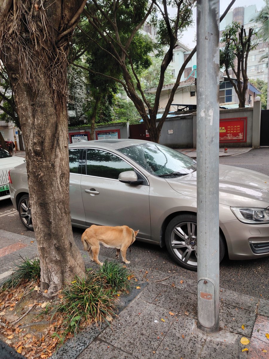 Fuad WEST tweet media