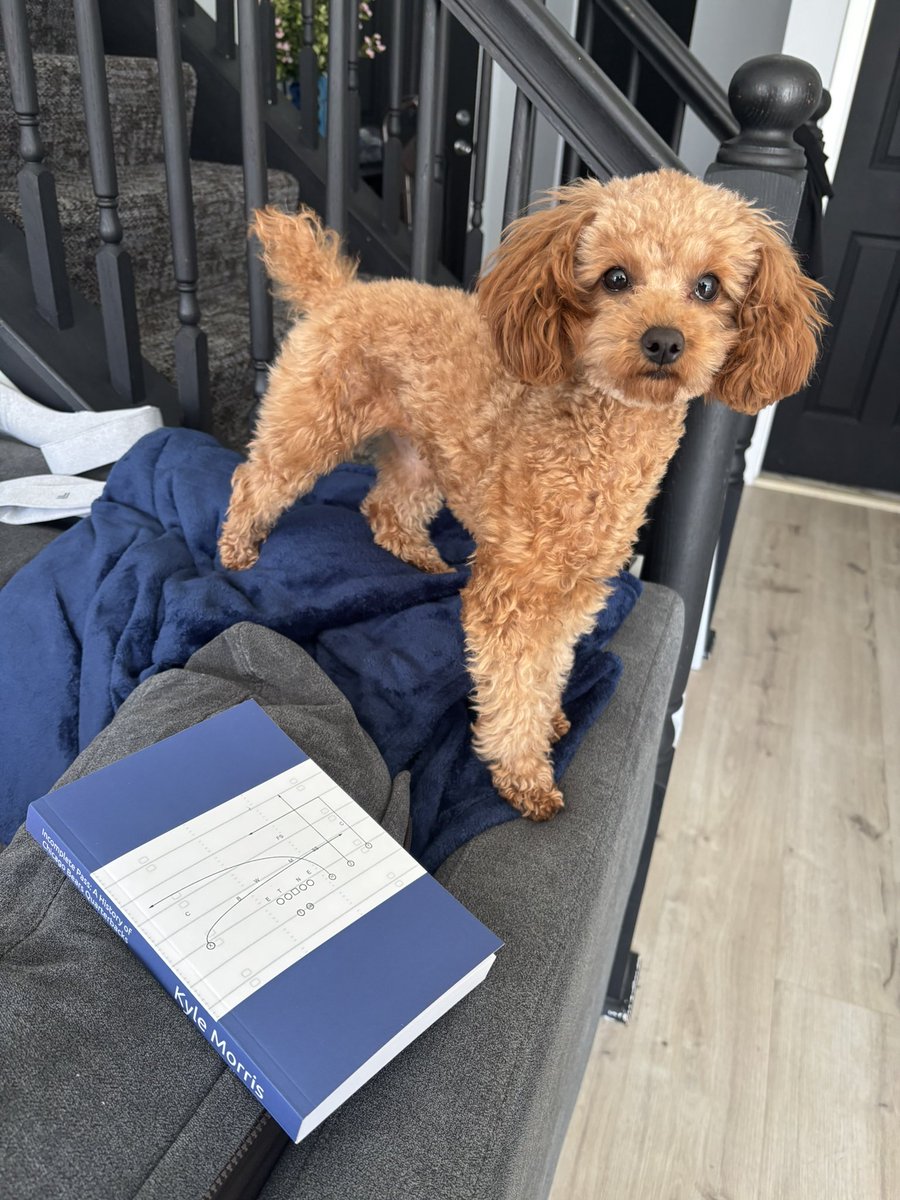 BPA Scout tweet media